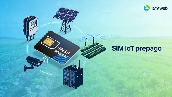 Tarjetas SIM IoT Prepago: Todo lo que necesitas saber antes de usarlas
